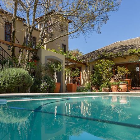ستيلينبوش 10 Alexander B&B المظهر الخارجي الصورة