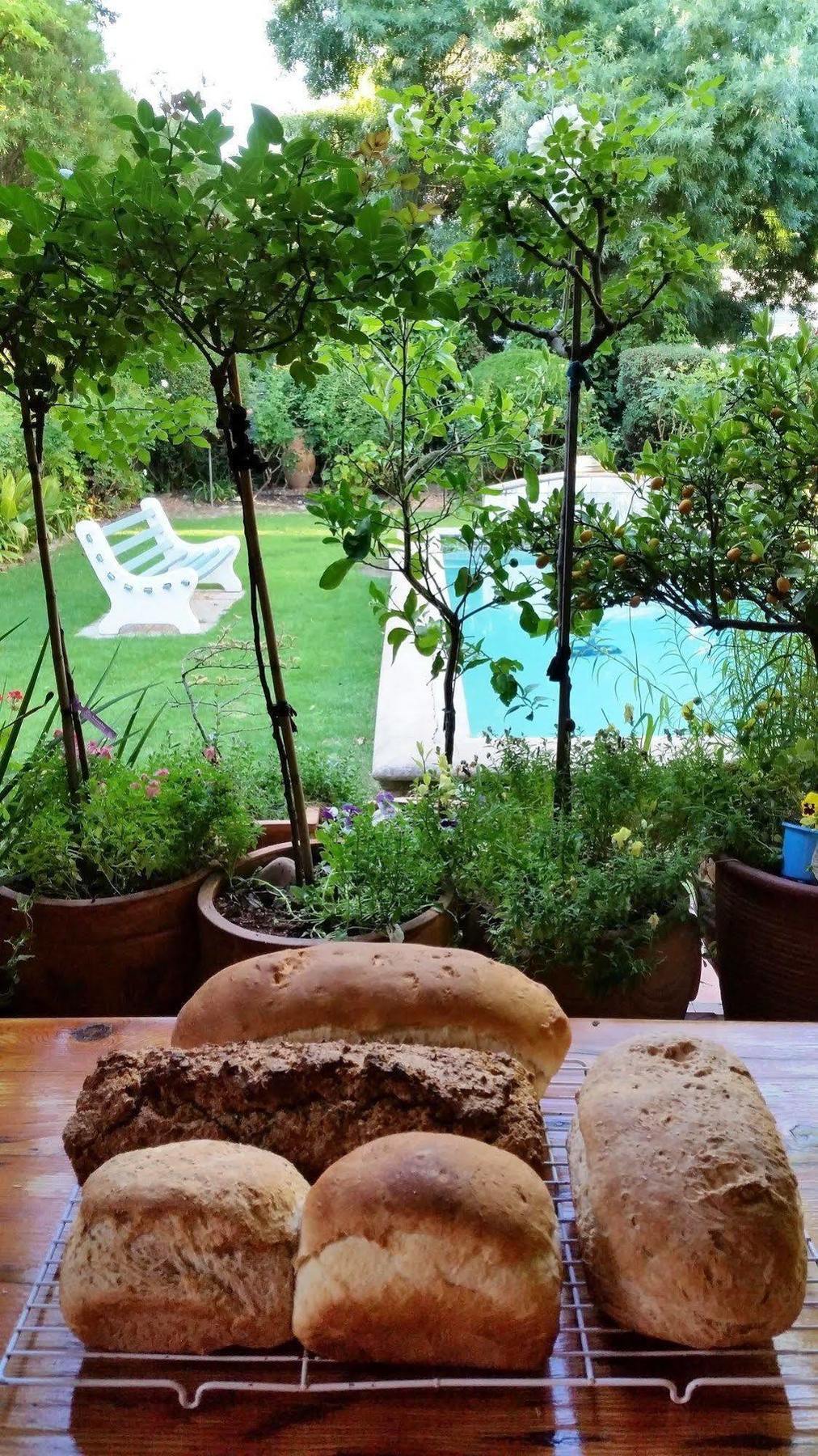 ستيلينبوش 10 Alexander B&B المظهر الخارجي الصورة