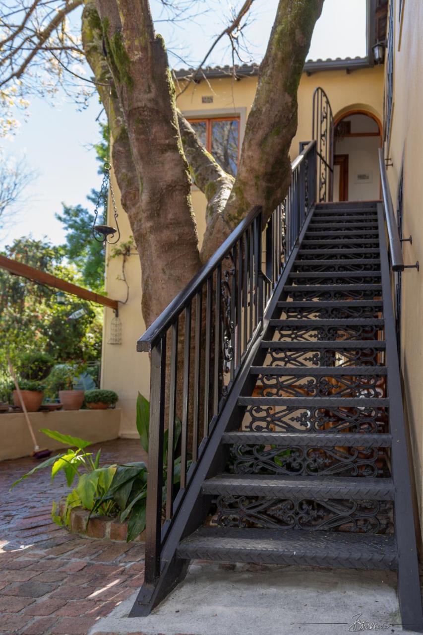 ستيلينبوش 10 Alexander B&B المظهر الخارجي الصورة